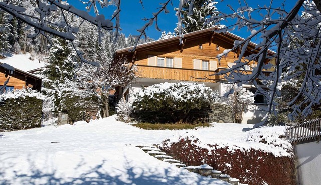 Chalet for 7 persons, with a lot of outsice space, cozy and in a great location
