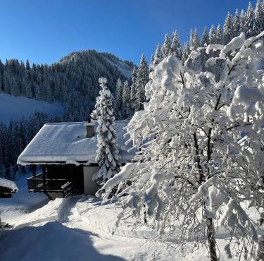 Chalet LYS Apartment 14 Rue Sigma