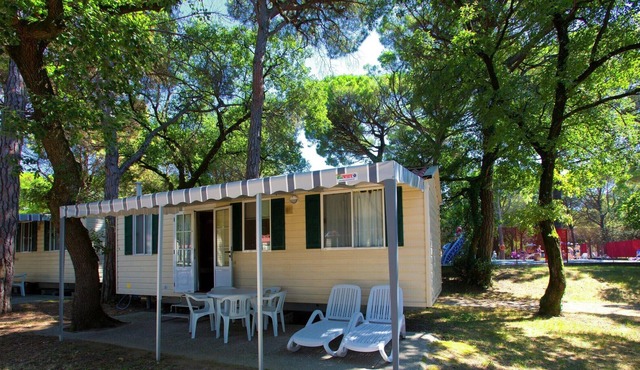 Chalet with nice terrace near the sea