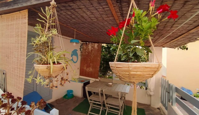 Charming and cozy little house in the center of Pomonte, just steps from the sea