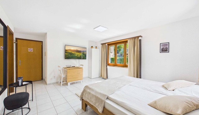 Charming Studio with Mountain Views in Brig
