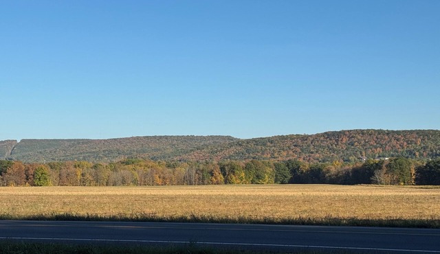 Close to everything-tucked away from the noise. A brand-new, blissful stay. in Ithaca