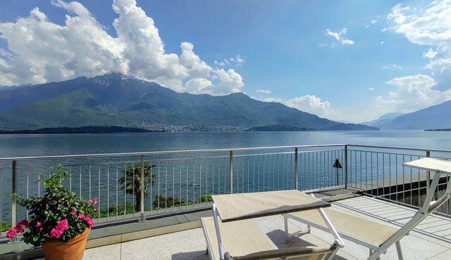 Cosy apartment for 4 guests with WIFI, A/C, TV, terrace and pets allowed