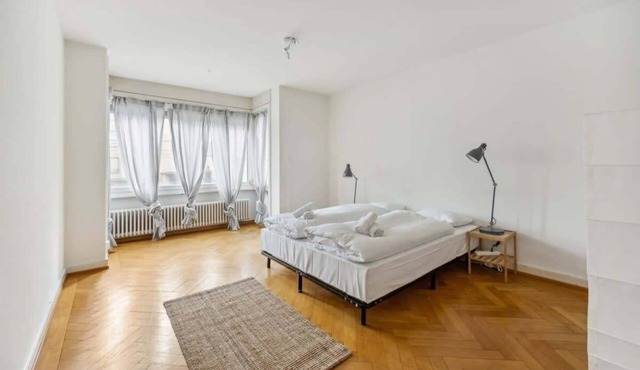 Cozy 2-Bedroom Apartment in Zürich with Kitchen