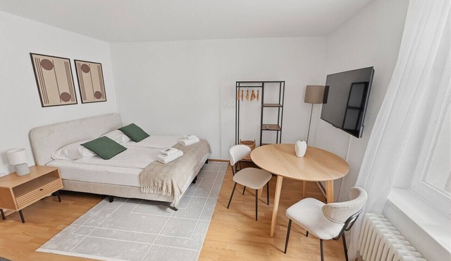Cozy room in the heart of Zurich - Stork 32