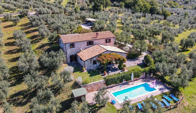 Detached villa with private and fenced pool 1,6km Montecchio, 20km from Orvieto.