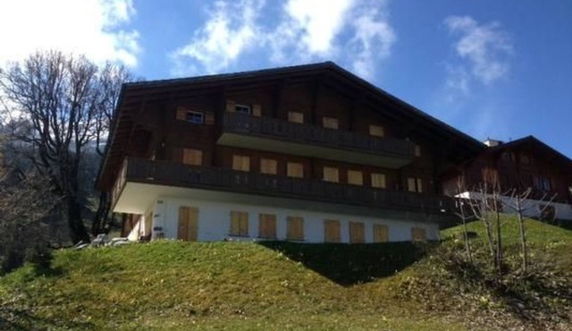 Gemütliche Ferienwohnung auf der Axalp by Interhome
