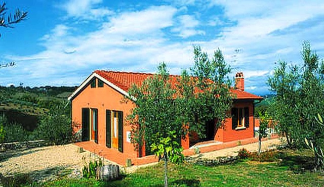 Getaway Amidst Vineyards