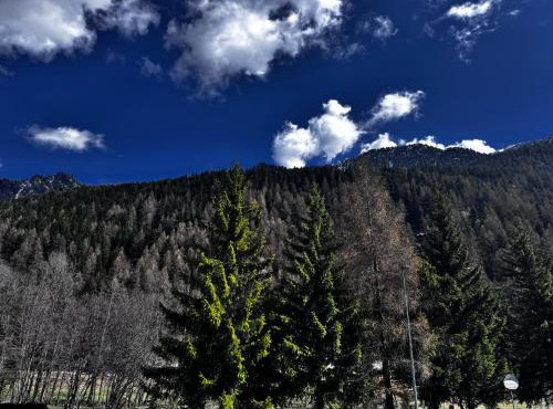 Grande Maison Du Coeur Champoluc Spa,Gym e Aree Relax