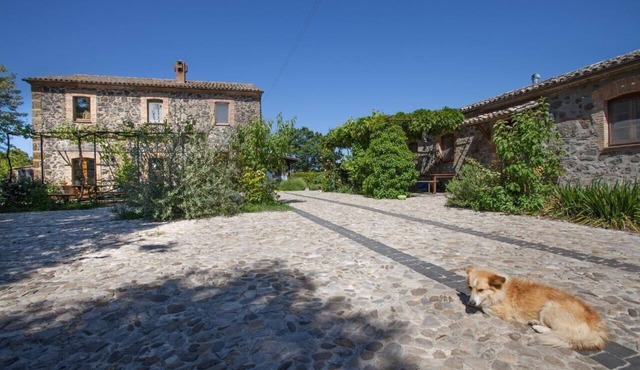 Holiday apartment Castel Giorgio for 1 - 6 persons with 2 bedrooms - Holiday apartment