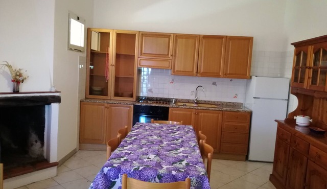 Holidays in San Teodoro