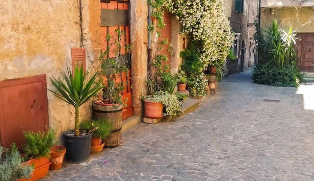 Homerez - House in Barbarano Romano