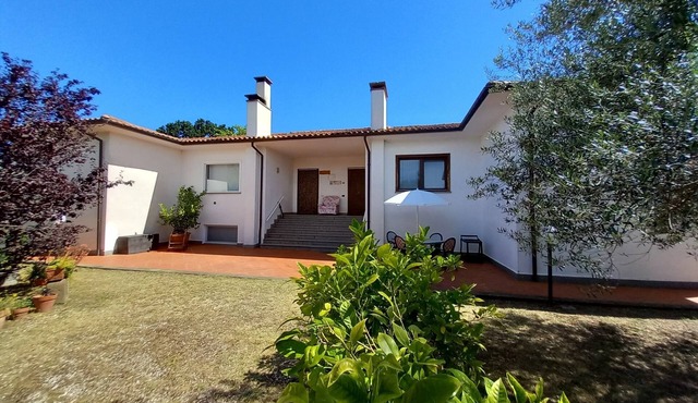 House in the countryside among olive trees 2 km from the town in the heart of beautiful Tuscia