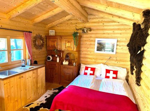 Idyllic Farm Cabin with Scenic Views and Concierge by SwissHut