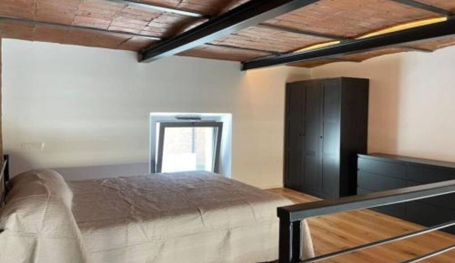 Industrial loft