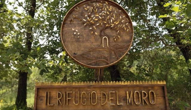 Juniper Apartment - Relax, Nature and Panorama with Private Pool