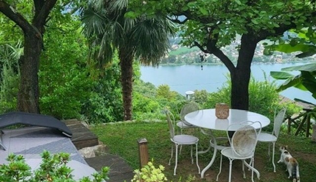 La Collinetta, an oasis of peace where pets are also welcome