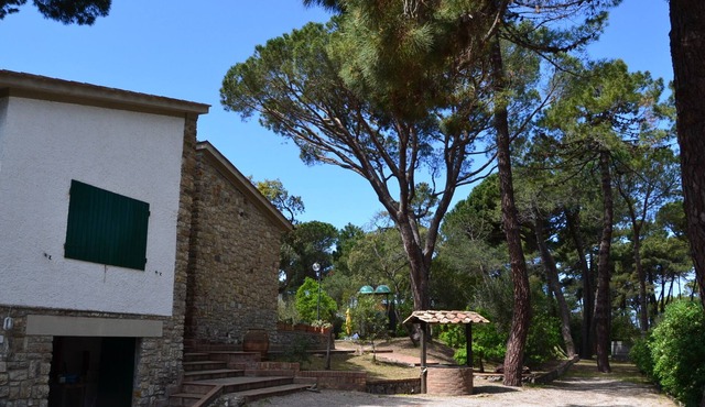 Large villa w/3000 m2 pine garden near beach, private path to sea