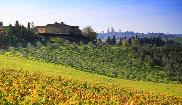 MONTEGONFOLI 4, Apartment for 4 adults with amazing views on San Gimignano