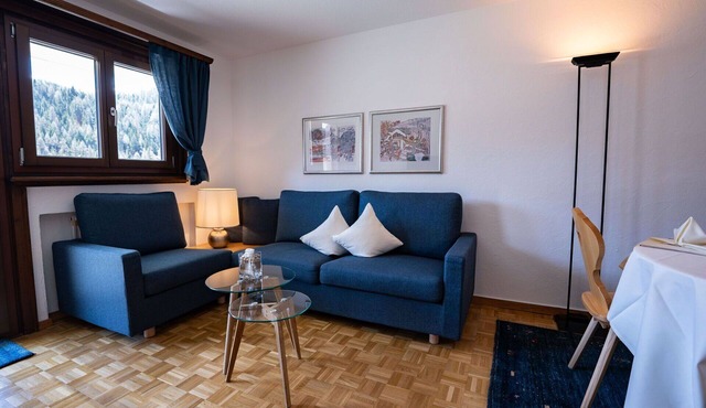 Nice apartment for 3 guests with WIFI, TV, balcony, pets allowed and panoramic view