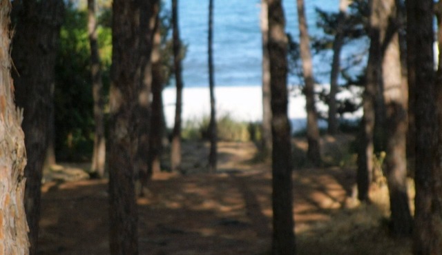 OLEANDER DIRECT BEACH ACCESS (NO WIFI) CIN IT091063C2000S5144