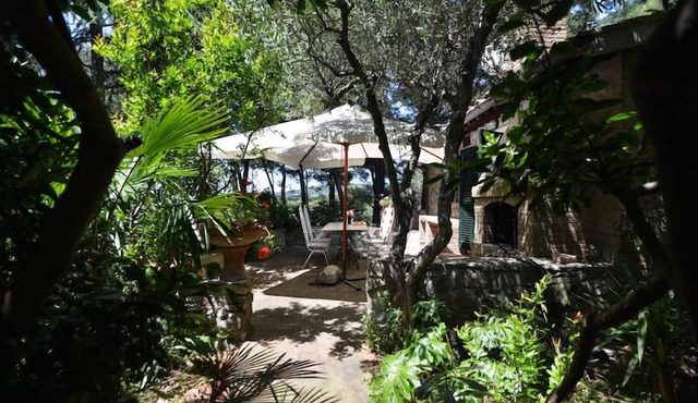 On the hill in Tuscany, overlooking the sea. For 2 to 4 people
