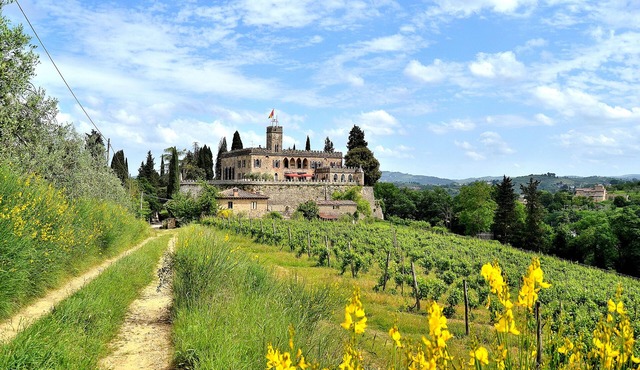 Panoramic castle with large pool on the walls. Ideal for weddings and events