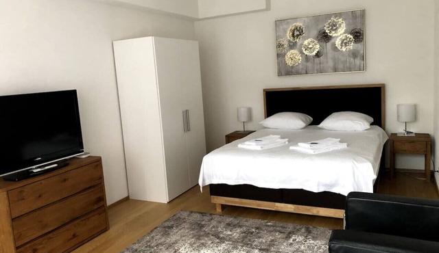 Posh 1 BR flat - city center and balcony (West3)
