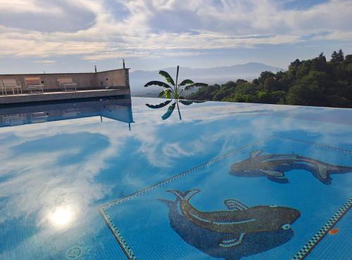 Private Studio in a Villa with Pool & Parking near Rome in Fiano Romano