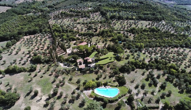 Romantic HideAway in an Old Olive Grove - EcoTourism - Huge Pool - E-Charger