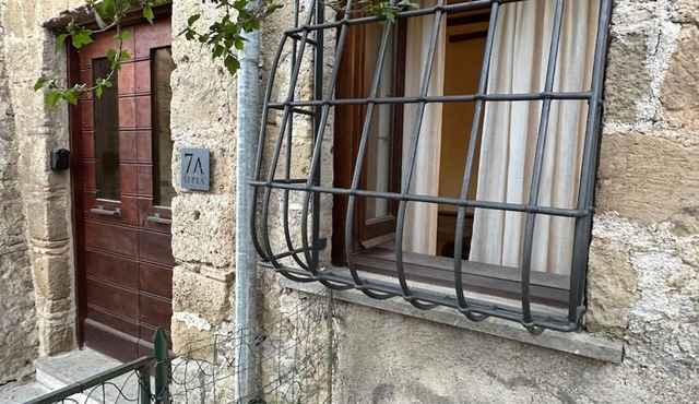 Septà - Pittoresca Casa Vacanze nel Centro Storico Vista Lago, Piccolo Giardino