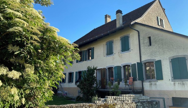 Strategic for your vacation in French-speaking Switzerland: between lake, mountains and heritage