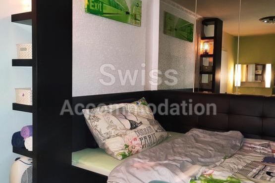 Swiss Accommodation