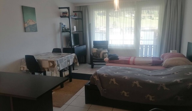Talstrasse 22 App 33 Appartement/Fewo, Dusche oder Bad, WC 1½-Zimmerwohnung by Interhome