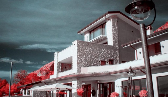 Tenuta Terra e Sole