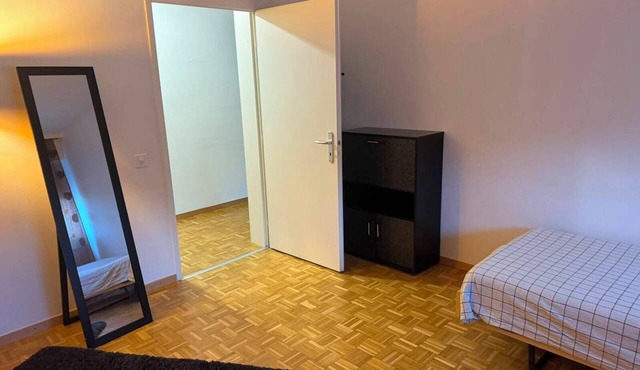 Terrific 1 Large bedroom apartment in charming Carouge near local spots