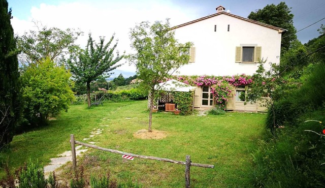 The cherry tree Podere il Giglio: Romantic apartment on the hills and swimming pool