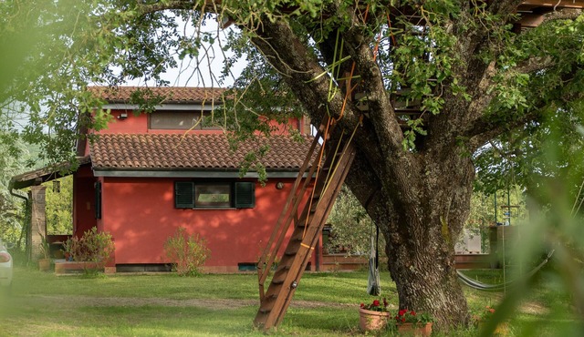 The Red House in the Green Oasis