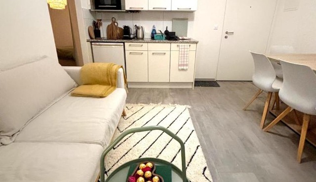 Top Apartment in Center of Zurich