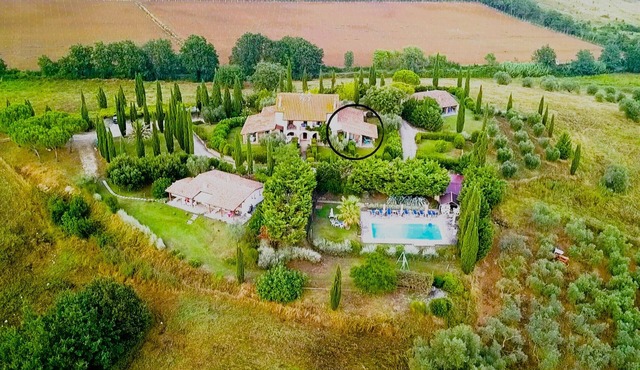 Tuscan dream on a hilltop + close to the sea - Grilli apartment
