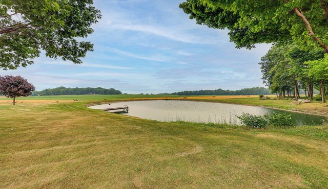 Unplug & Unwind! Romulus Family Gem w/Swim Pond in Romulus
