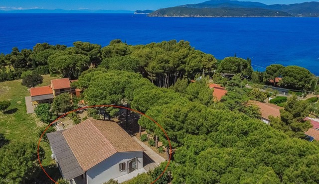 Villa Artistica - Villa Artistica - Rosso