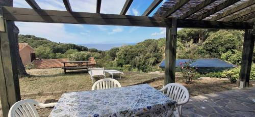 Villa Cedro
