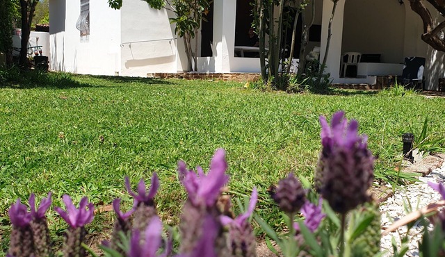 Villa Lentischio at 100 m to the sea with private garden,wif,airco,parking,bbq