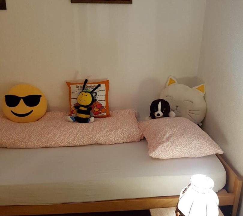 Linthal Bed & Breakfast | Berghaus S' Träumli mit dem Tierlihof - die kleine Älplersuit