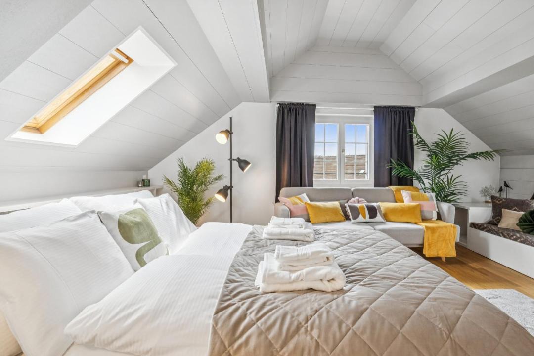 Old Town Apartment | Old Town Zurich Penthouse Rooftop Terrace AC