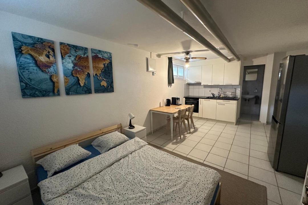Wildegg Apartment | Studio-Wohnung 4
