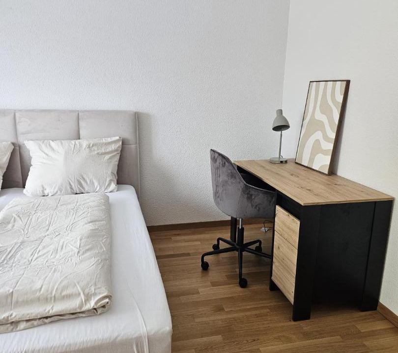 Mandach Apartment | Apartment 2 Hügelruhe Mandach - 25 m2 - 1 Schlafzimmer - Ferien - Business