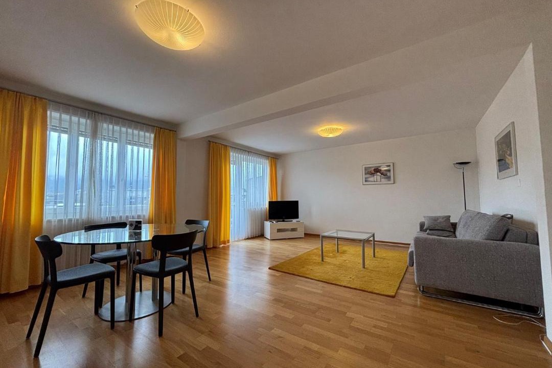 Muhlebach Apartment | Spacious 1BR near Opera and Lake - Mill 5 43