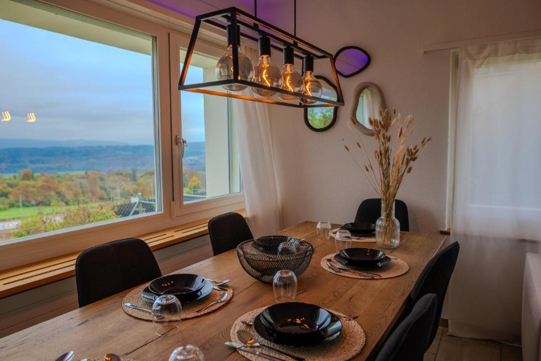 Widen Apartment | Sky Paradise 20min to zurich city centre